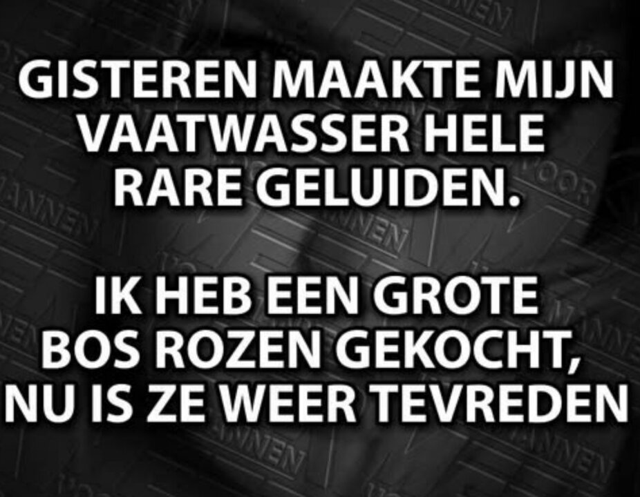 vaatwasser.thumb.jpg.d7634237e1d79d27560b343f1b595a63.jpg
