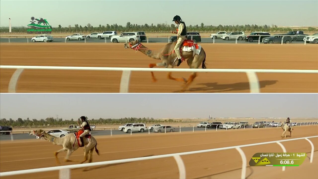 vlcsnap-2026-01-31-13h26m01s314.jpg
