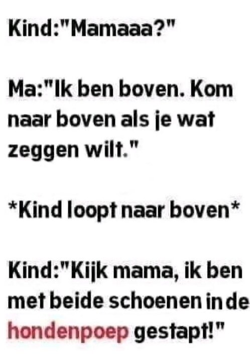 hondenpoep.thumb.jpg.5c8f7cfa43109b939440388a7d677c01.jpg
