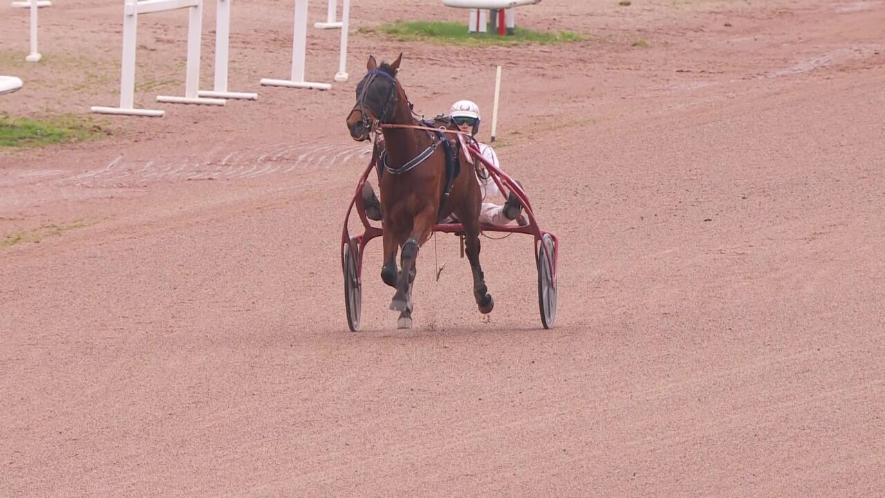 vlcsnap-2026-03-01-14h05m24s908.jpg