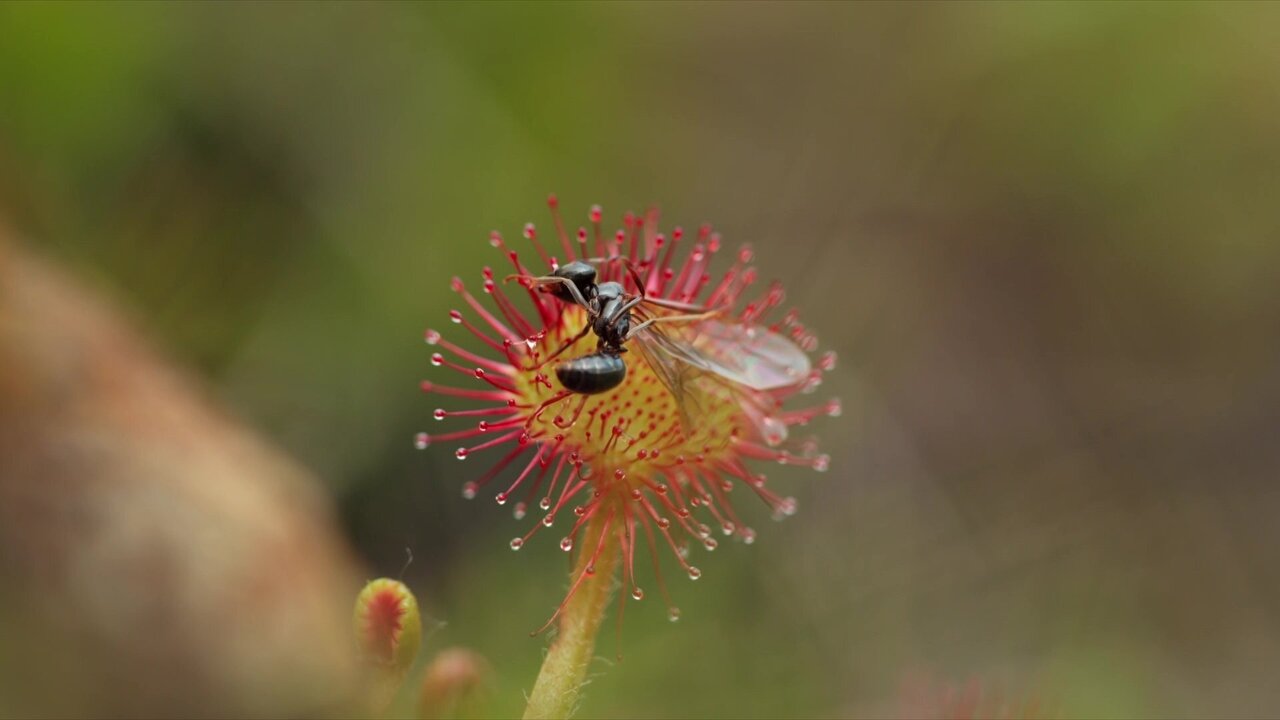 vlcsnap-2026-06-17-20h06m23s887.jpg