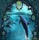 Flipper