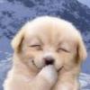 boekkie