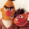 bertss50